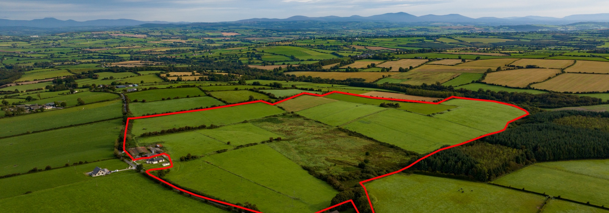 89 Acre Non-Residential Farm | Ardra, Castlelyons, Co Cork