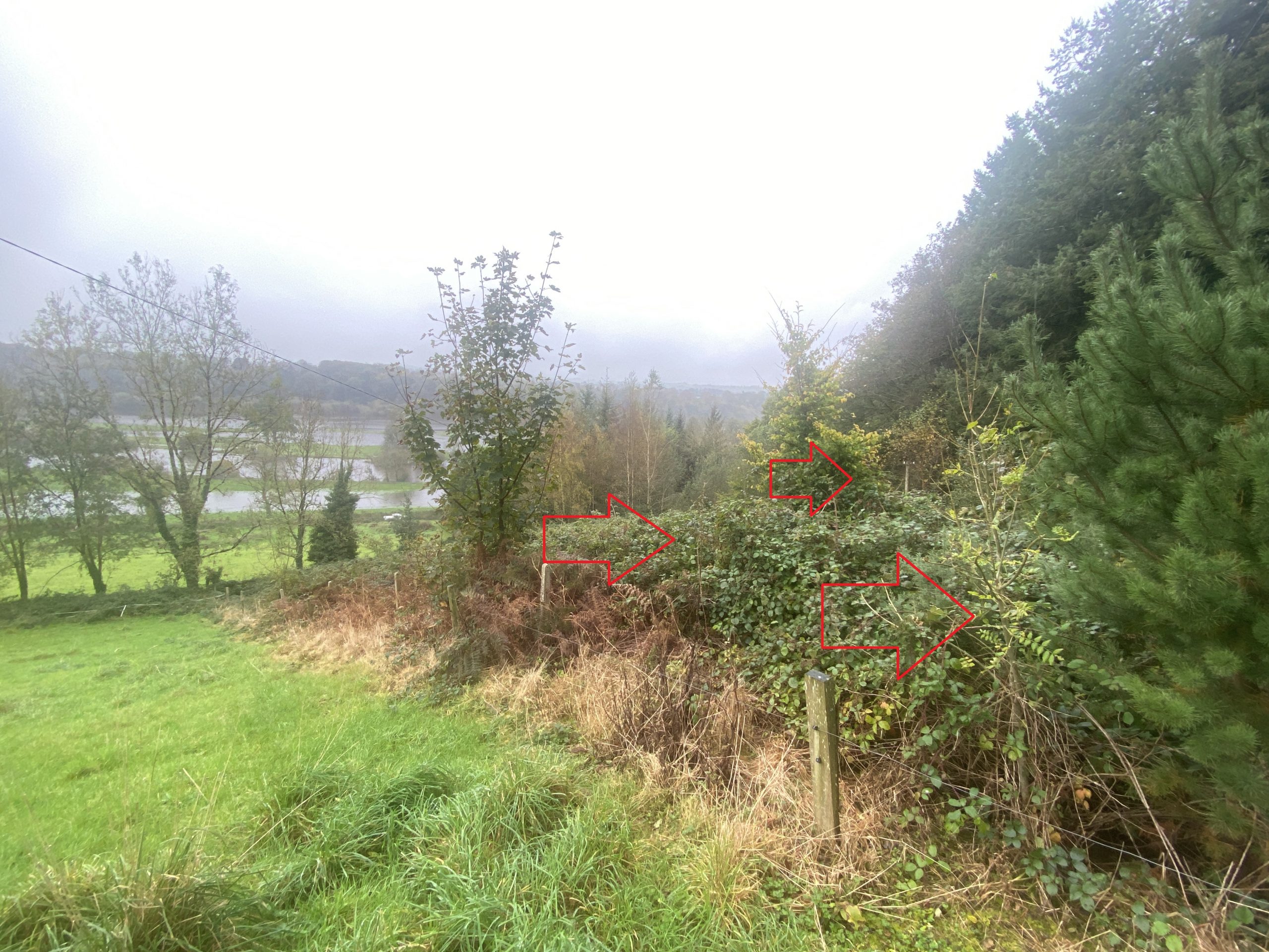 Small Parcel of Land | Garra West, Ballyduff, Co Waterford
