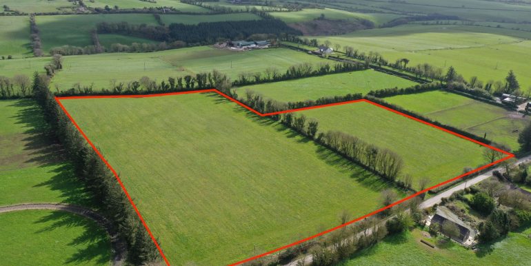 CLONMULT - 12 ACRES