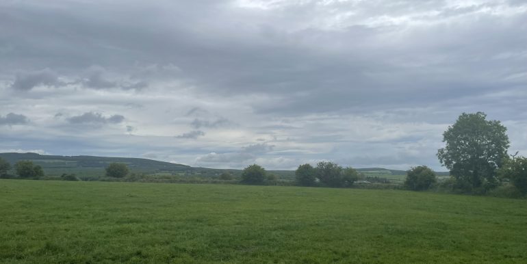 IMG_0105