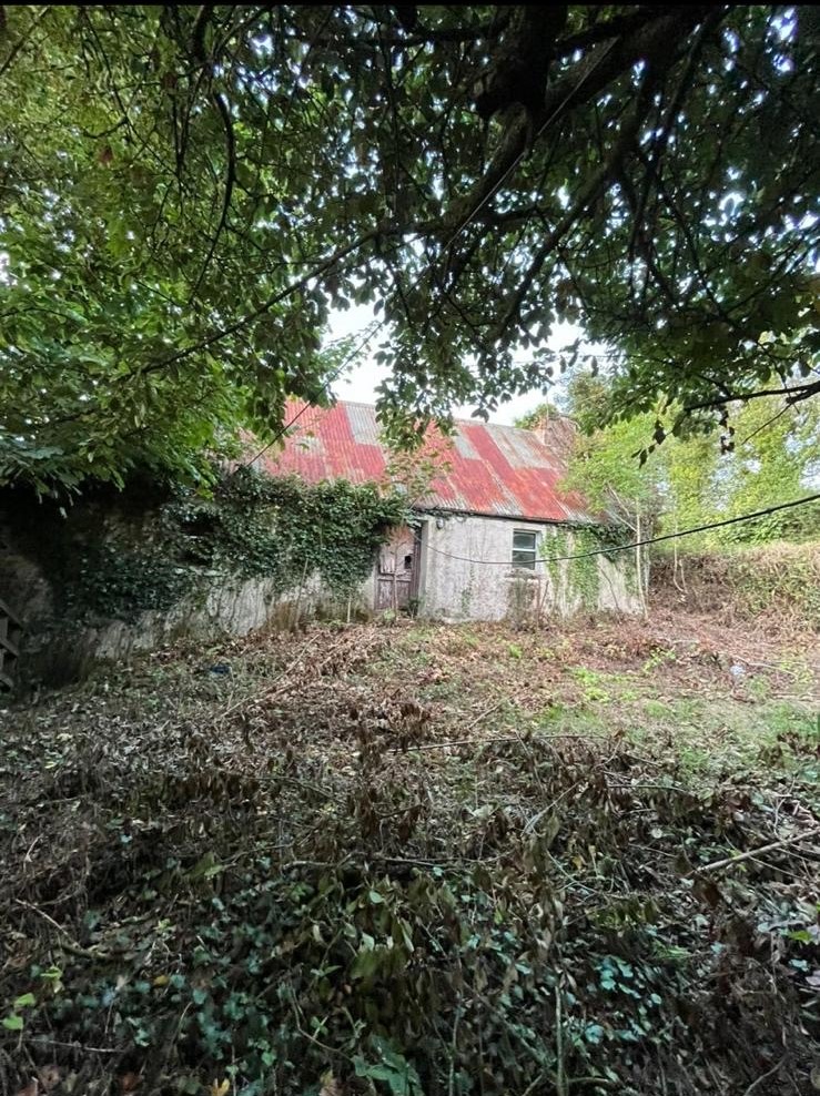 Single Storey Cottage | Bridepark, Conna, Co. Cork P51K7D9