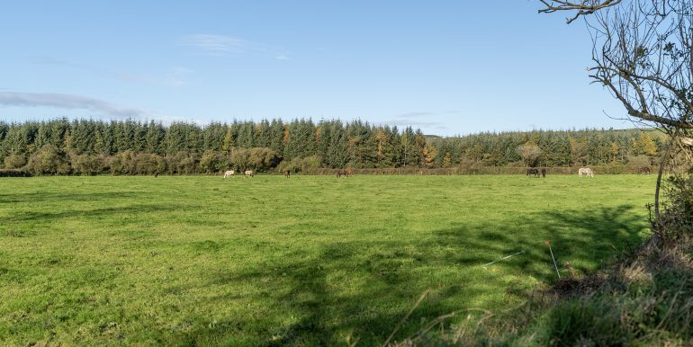 Field 1