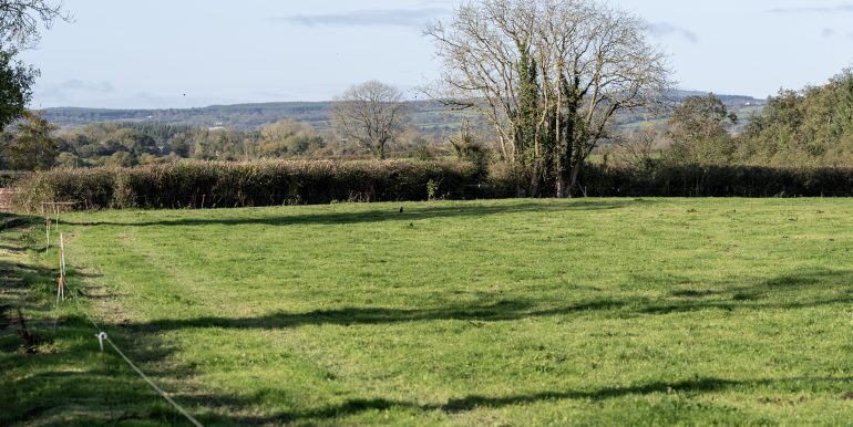 Field 4