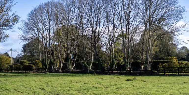 Field 6