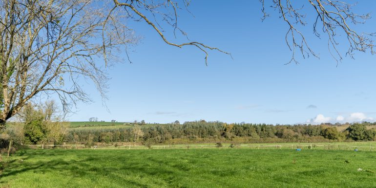 Field 7
