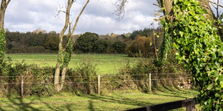 Field 8