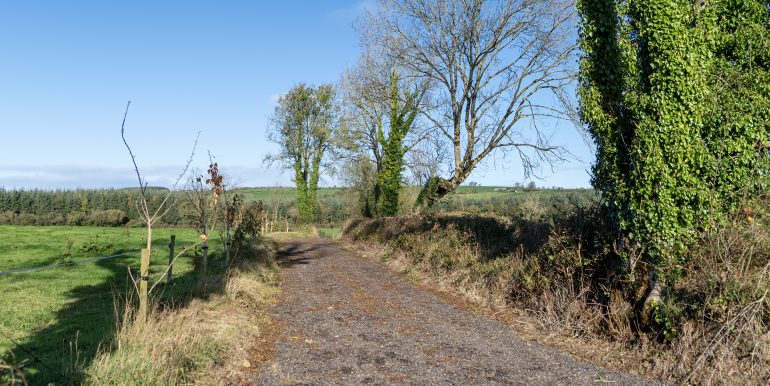 Field Access Road 2