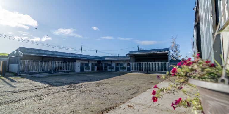 Yard 5