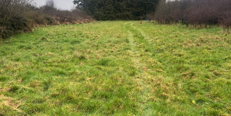 PHOTO-2026-04-28-12-18-31 (1)