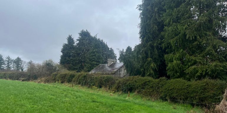 PHOTO-2026-04-28-12-18-31 (2)