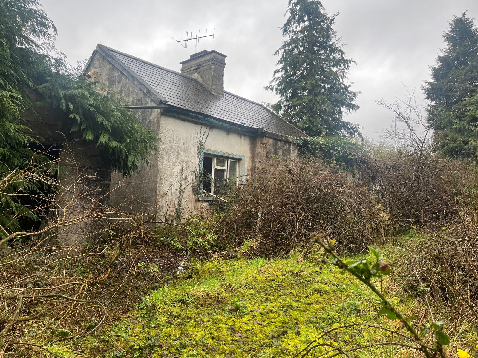 Single Storey Cottage | Skeehen, Mitchelstown, Co. Cork