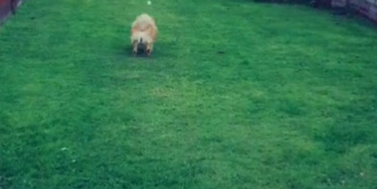 ea6d4a5c-beb7-41f8-9f9e-f863775b3c45